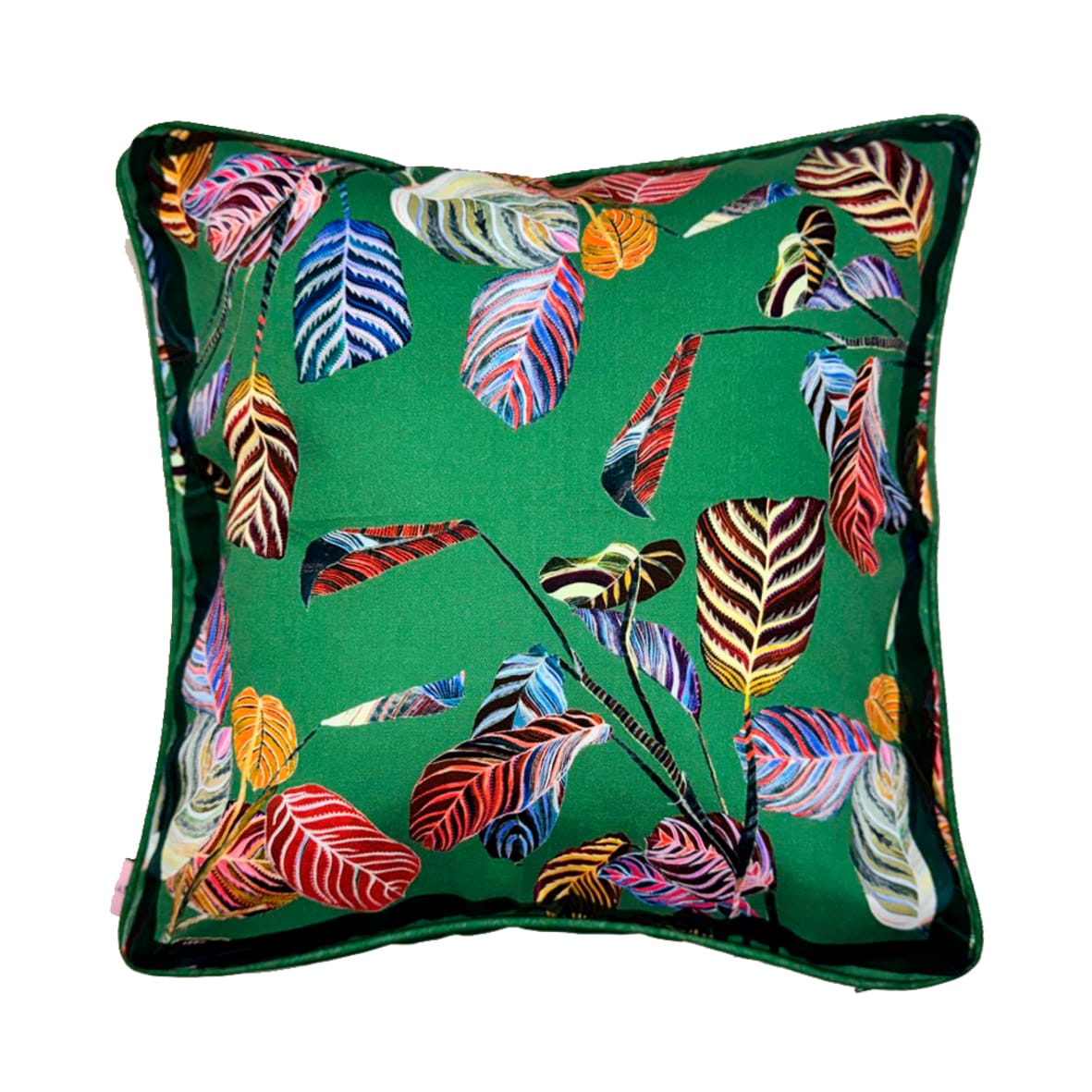 Luxurious Marina Sage Cotton Sateen Cushion - Artistic Feather Print Eleni Malami